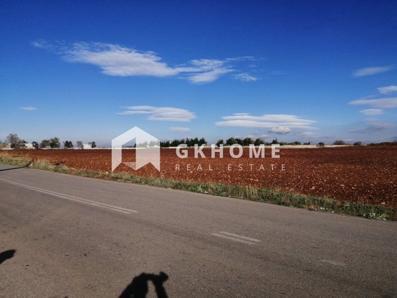 property-img