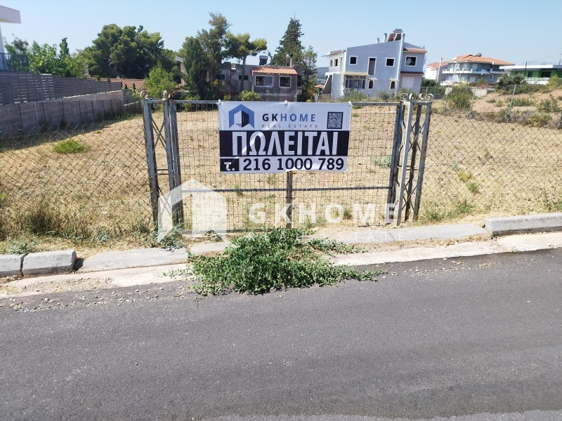 property-img